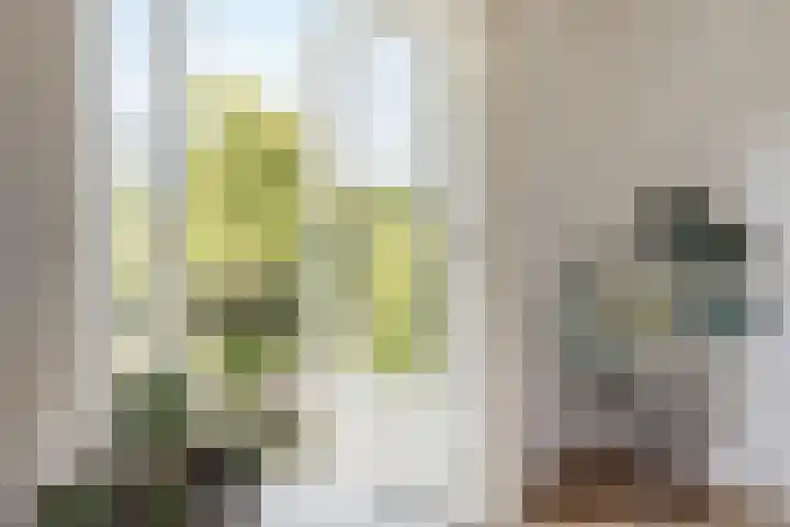 Burgemeester Elsenlaan 27 Rijswijk thumbnail 7
