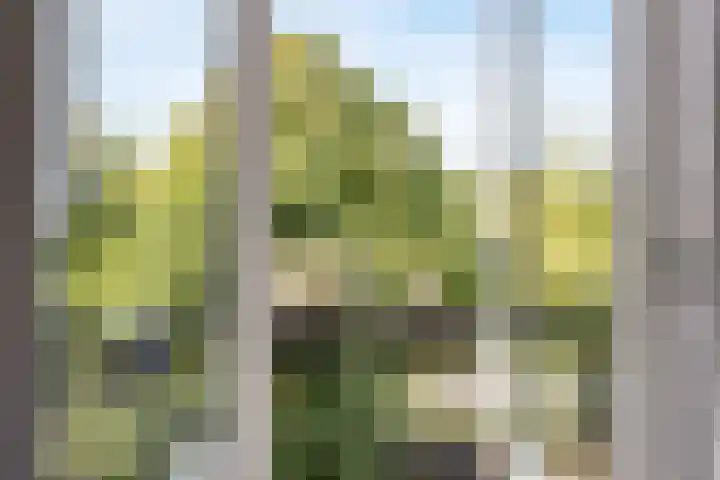 Burgemeester Elsenlaan 27 Rijswijk thumbnail 8