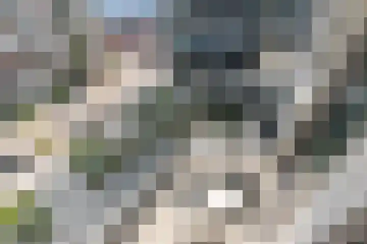 Burgemeester Elsenlaan 319 F104 Rijswijk thumbnail 14