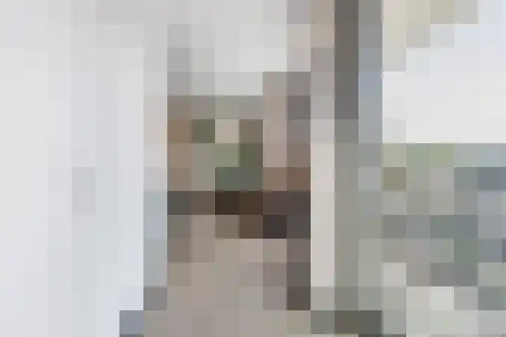 Burgemeester Elsenlaan 319 F104 Rijswijk thumbnail 15