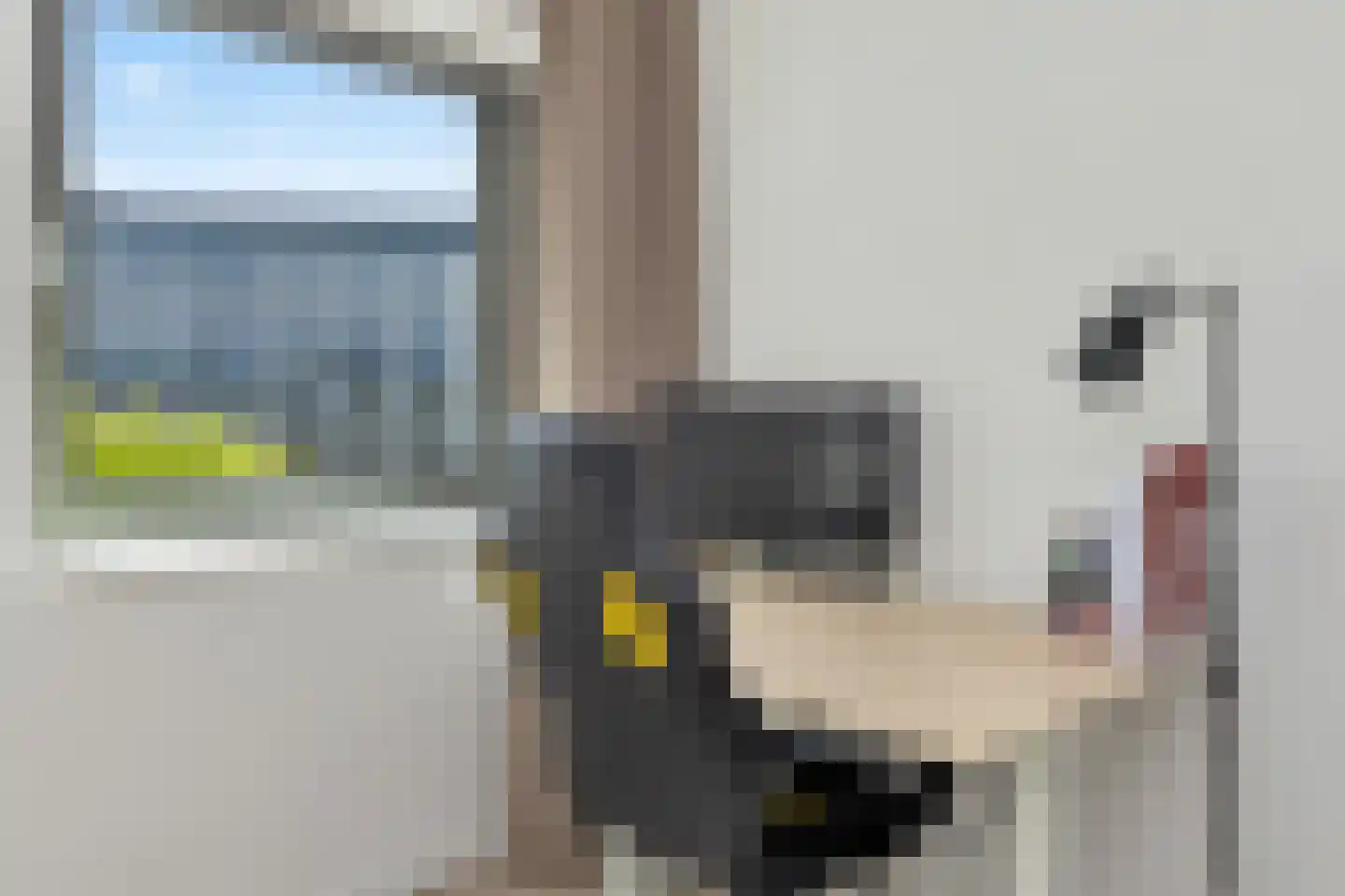 Burgemeester Elsenlaan 323 F306 Rijswijk thumbnail 35