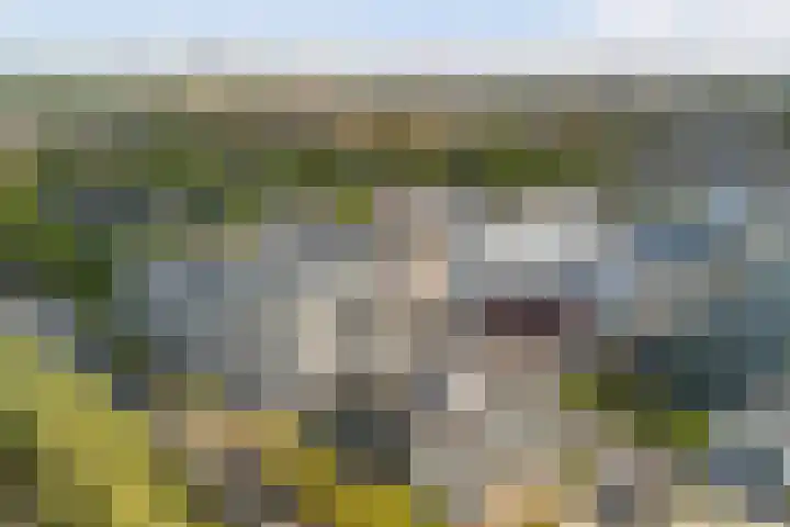 Burgemeester Elsenlaan 323 F402 Rijswijk thumbnail 35