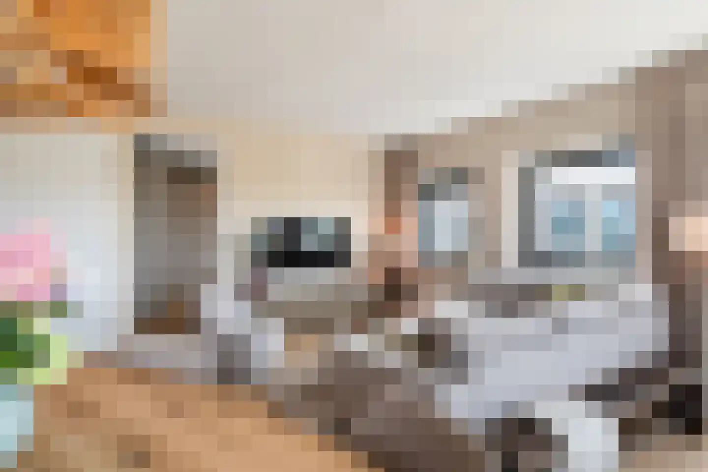 Burgemeester Elsenlaan 323 F602 Rijswijk thumbnail 22