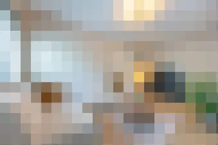 Burgemeester Elsenlaan 323 F607 Rijswijk thumbnail 22