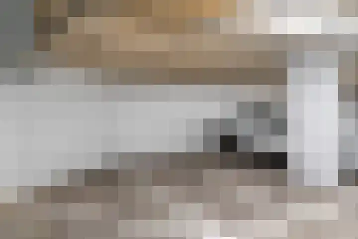 Burgemeester Elsenlaan 323 F607 Rijswijk thumbnail 34