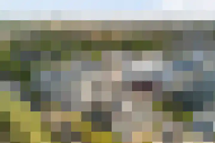 Burgemeester Elsenlaan 323 F607 Rijswijk thumbnail 44