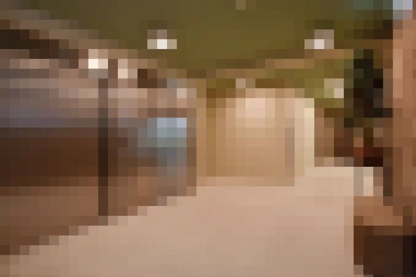 Burgemeester Elsenlaan 323 F711 Rijswijk thumbnail 8
