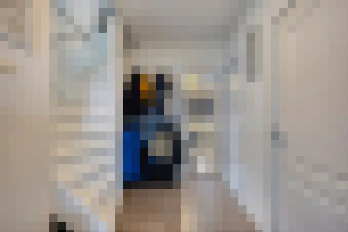 Burgemeester Elsenlaan 34 Rijswijk thumbnail 8