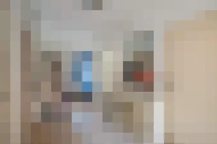 Burgemeester Elsenlaan 51 Rijswijk thumbnail 6