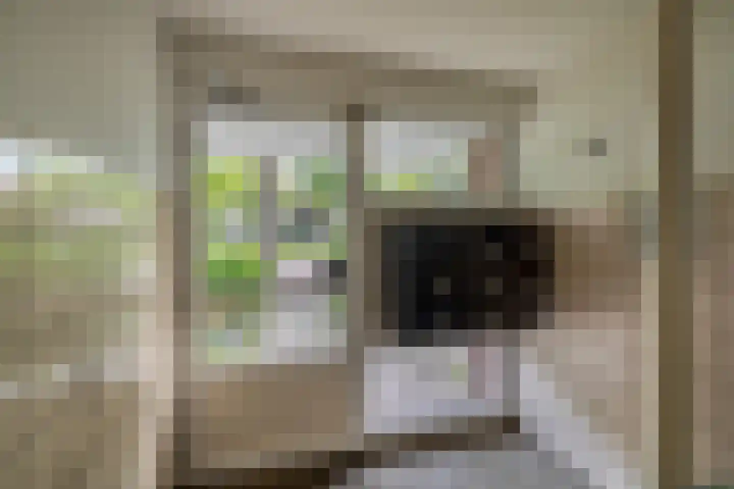 Burgemeester Elsenlaan 52 Rijswijk thumbnail 8