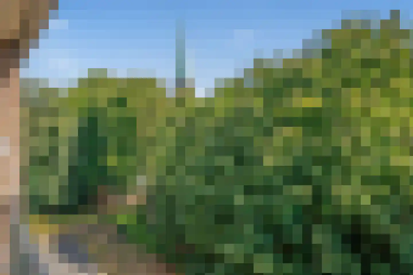 Burgemeester Elsenlaan 55 Rijswijk thumbnail 17