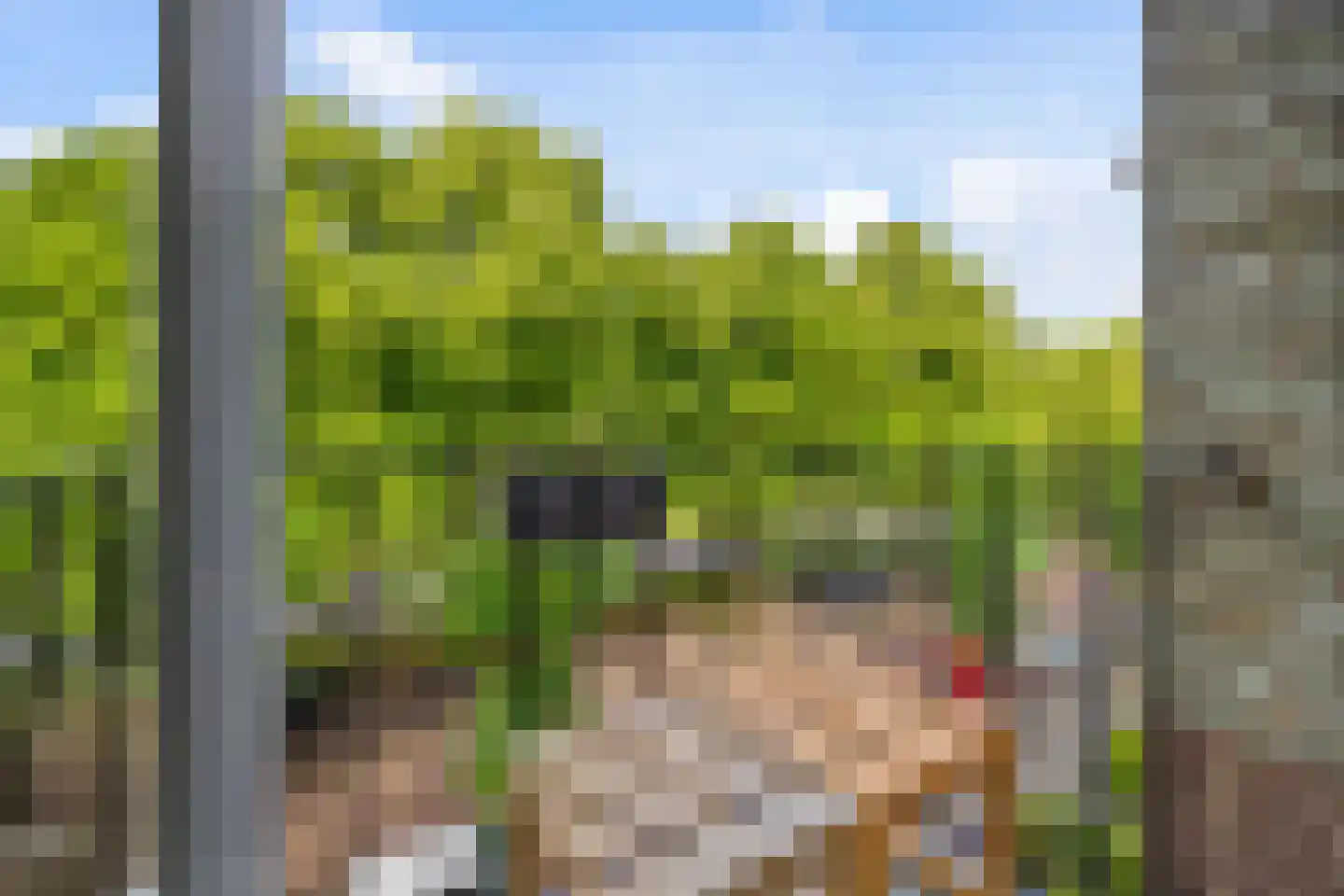 Burgemeester Elsenlaan 85 Rijswijk thumbnail 14