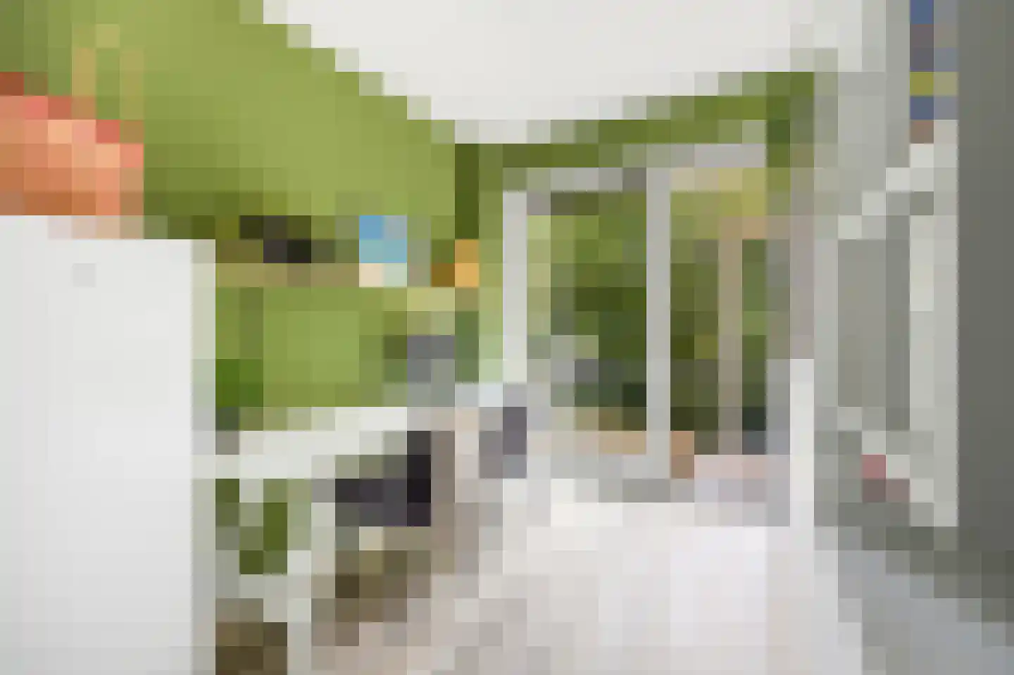 Burgemeester Elsenlaan 85 Rijswijk thumbnail 26