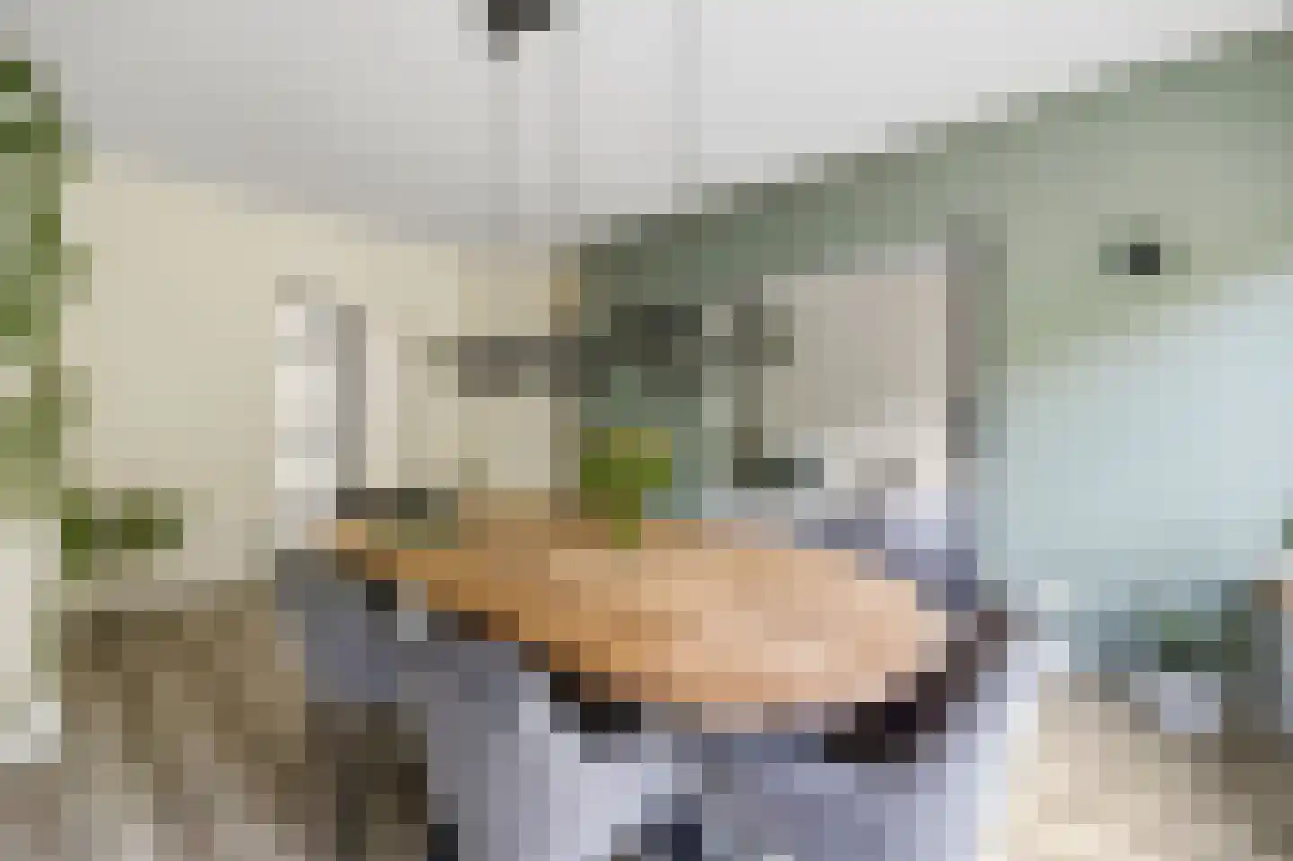 Burgemeester Elsenlaan 85 Rijswijk thumbnail 8