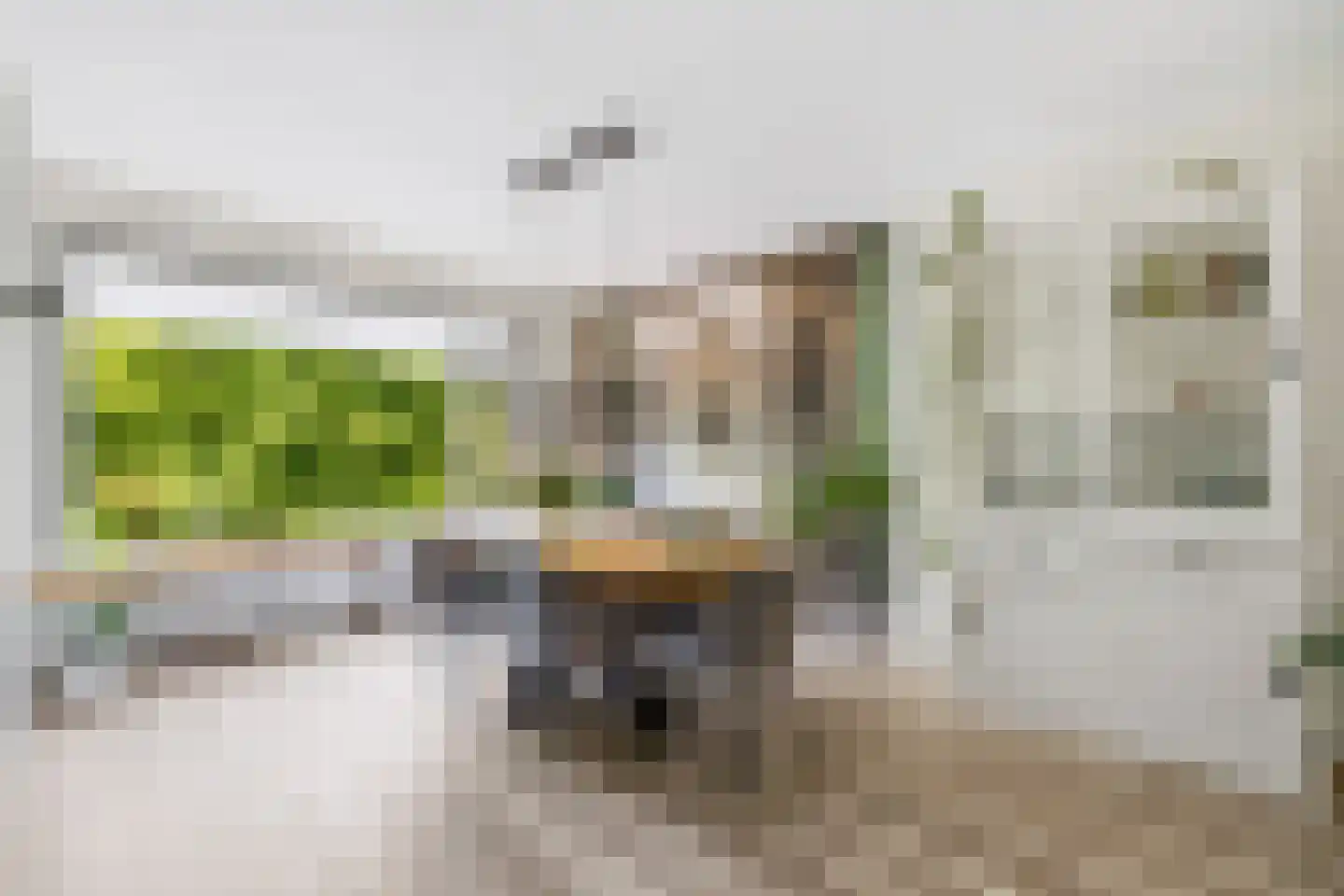 Burgemeester Elsenlaan 85 Rijswijk thumbnail 9
