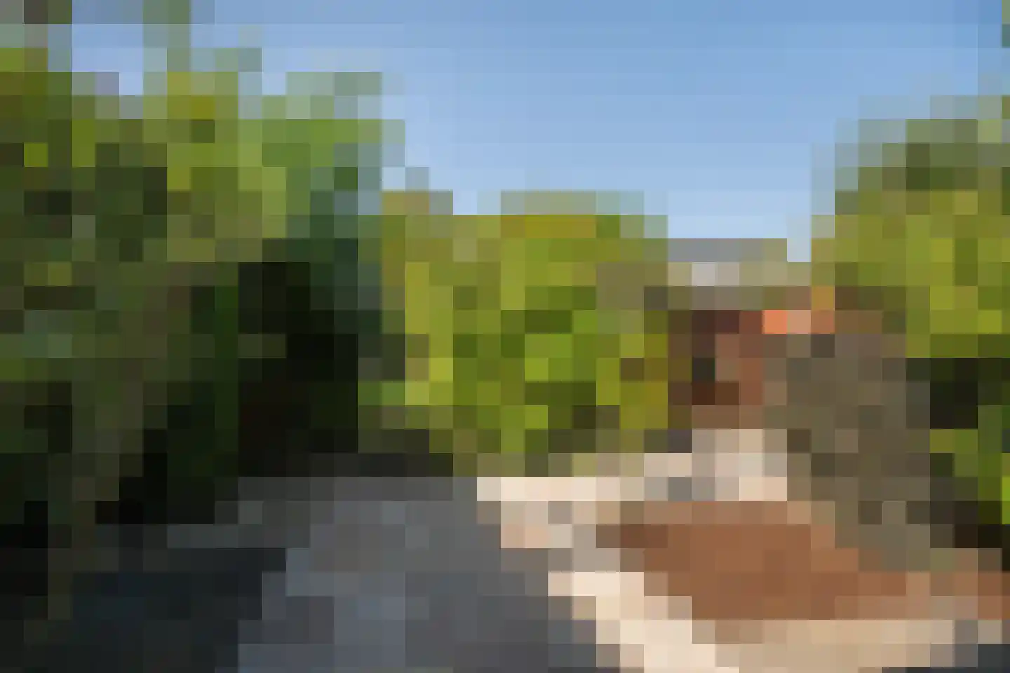 Burgemeester Elsenpark 6 Naaldwijk thumbnail 12