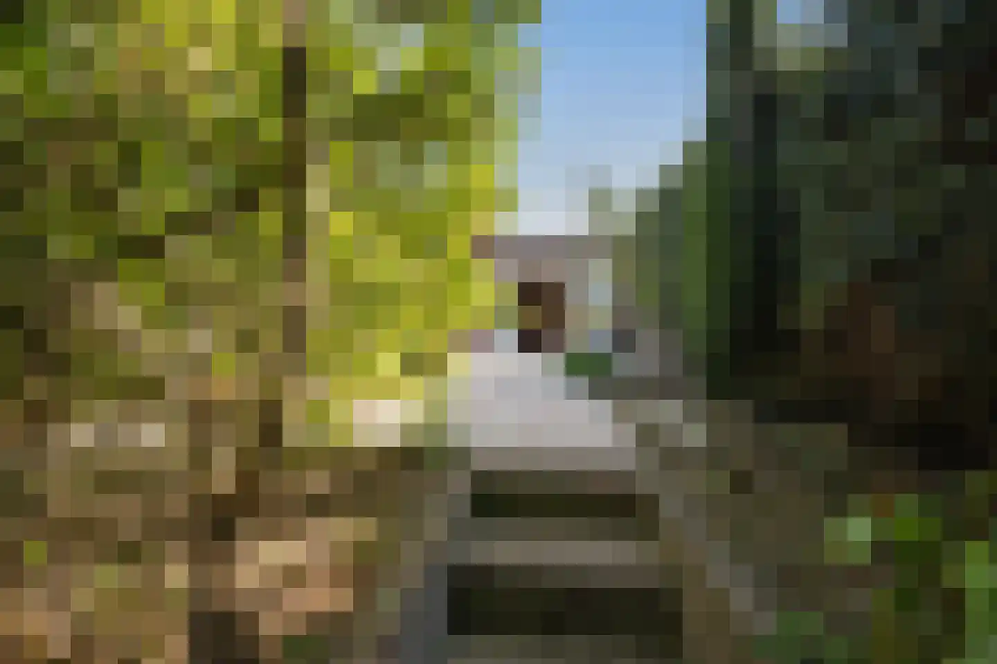 Burgemeester Elsenpark 6 Naaldwijk thumbnail 7