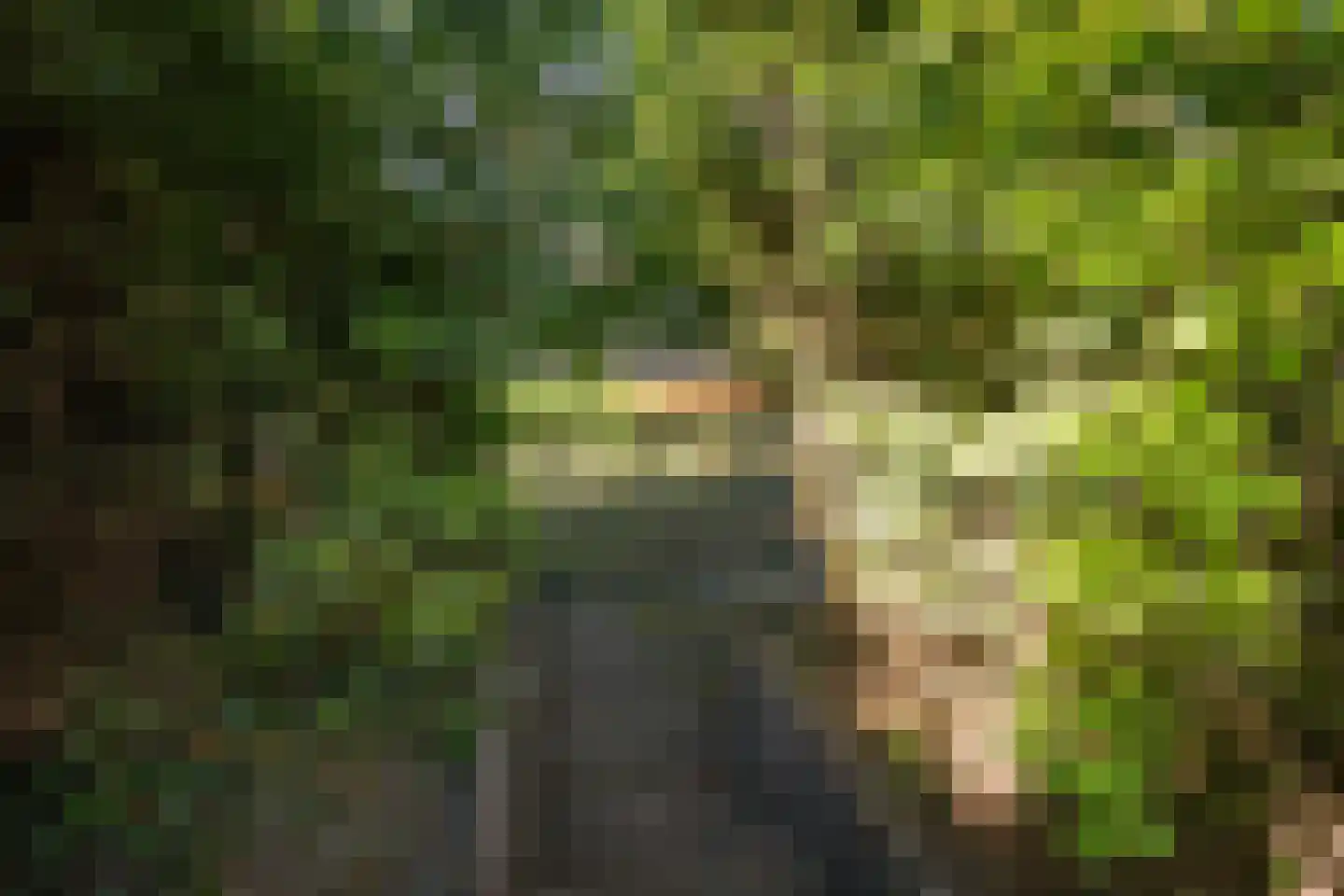 Burgemeester Elsenpark 6 Naaldwijk thumbnail 9