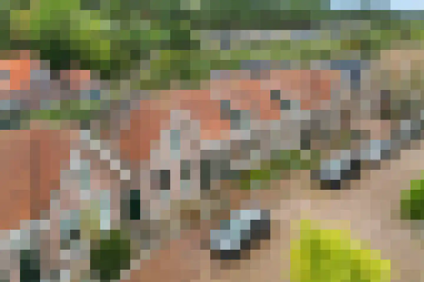 Burgemeester Eschauzierstraat 13 West-Terschelling thumbnail 22