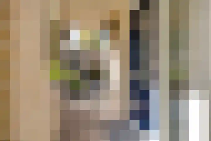 Burgemeester Esserstraat 62 Venray thumbnail 4