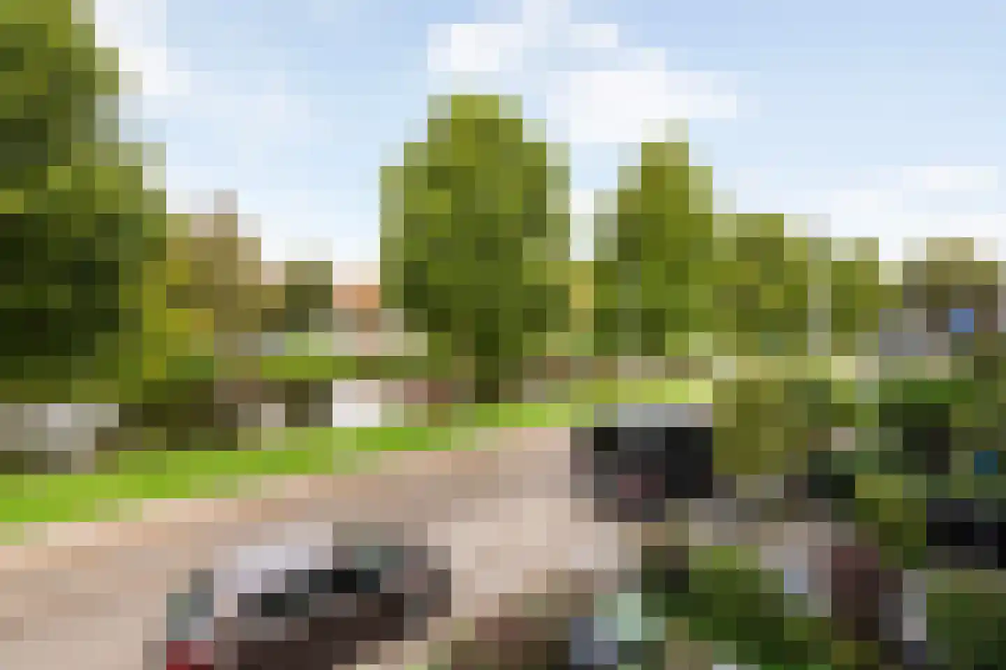 Burgemeester F.H. van Kempensingel 14 Rotterdam thumbnail 28