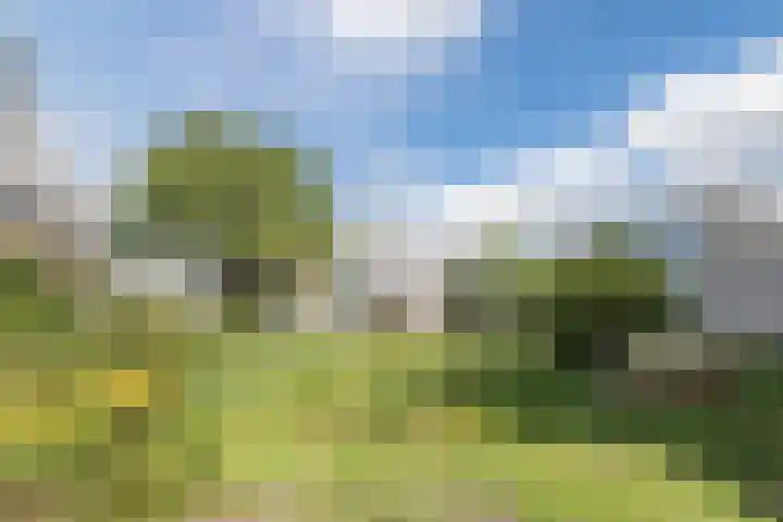 Burgemeester Fabiuspark 155 Bilthoven thumbnail 39