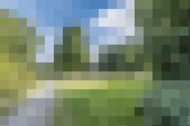 Burgemeester Fabiuspark 155 Bilthoven thumbnail 40