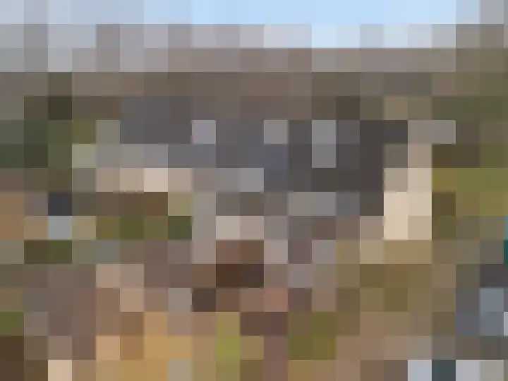 Burgemeester Fabiuspark 40 Bilthoven thumbnail 27