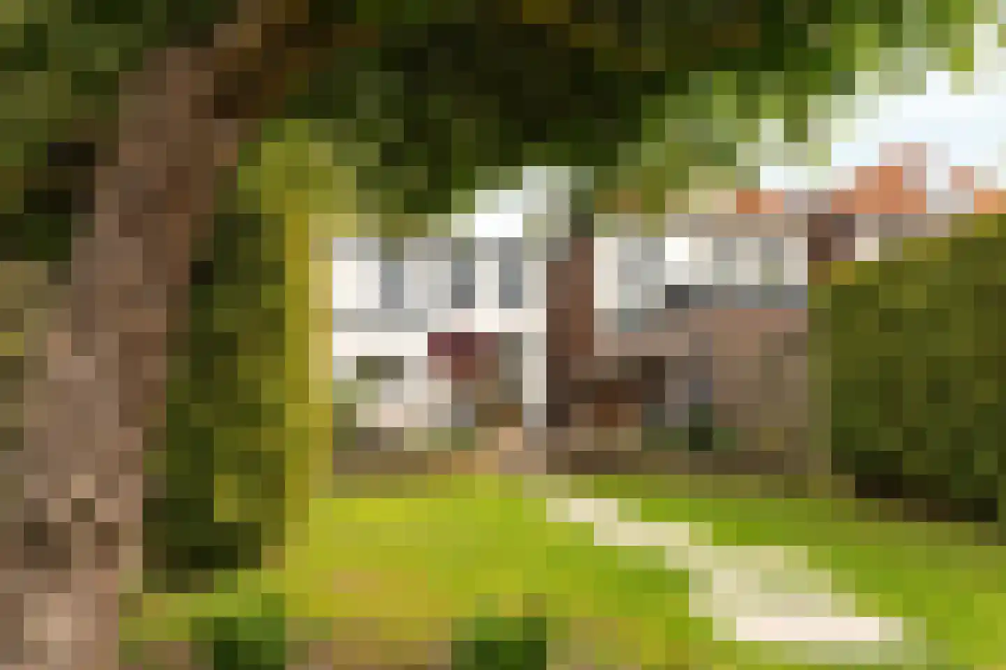 Burgemeester Falkenaweg 128 Heerenveen thumbnail 37
