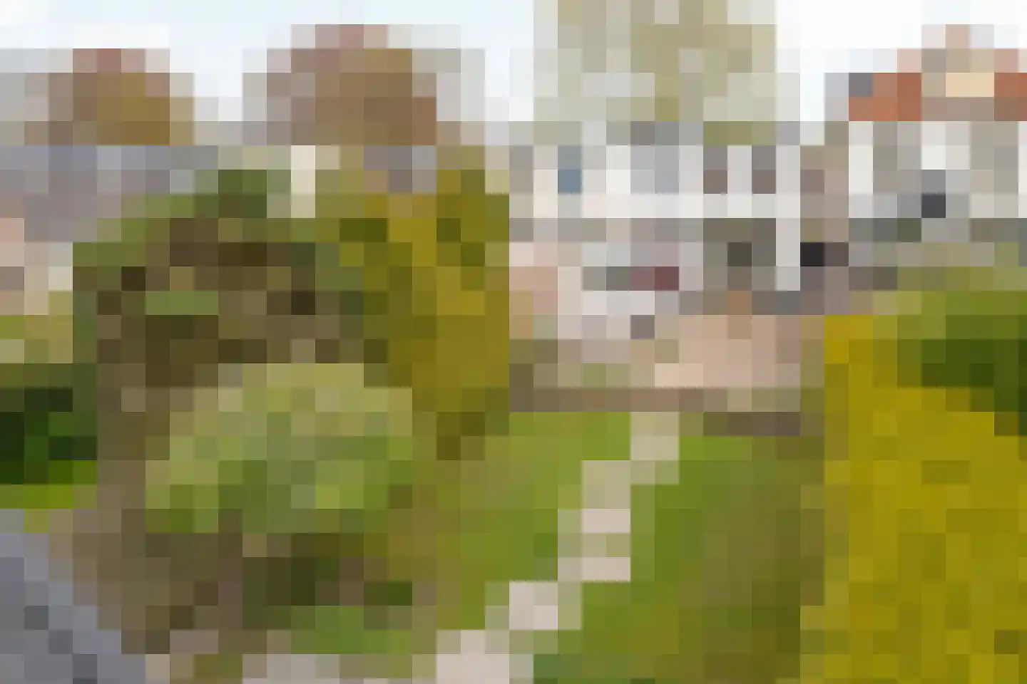Burgemeester Falkenaweg 128 Heerenveen thumbnail 40