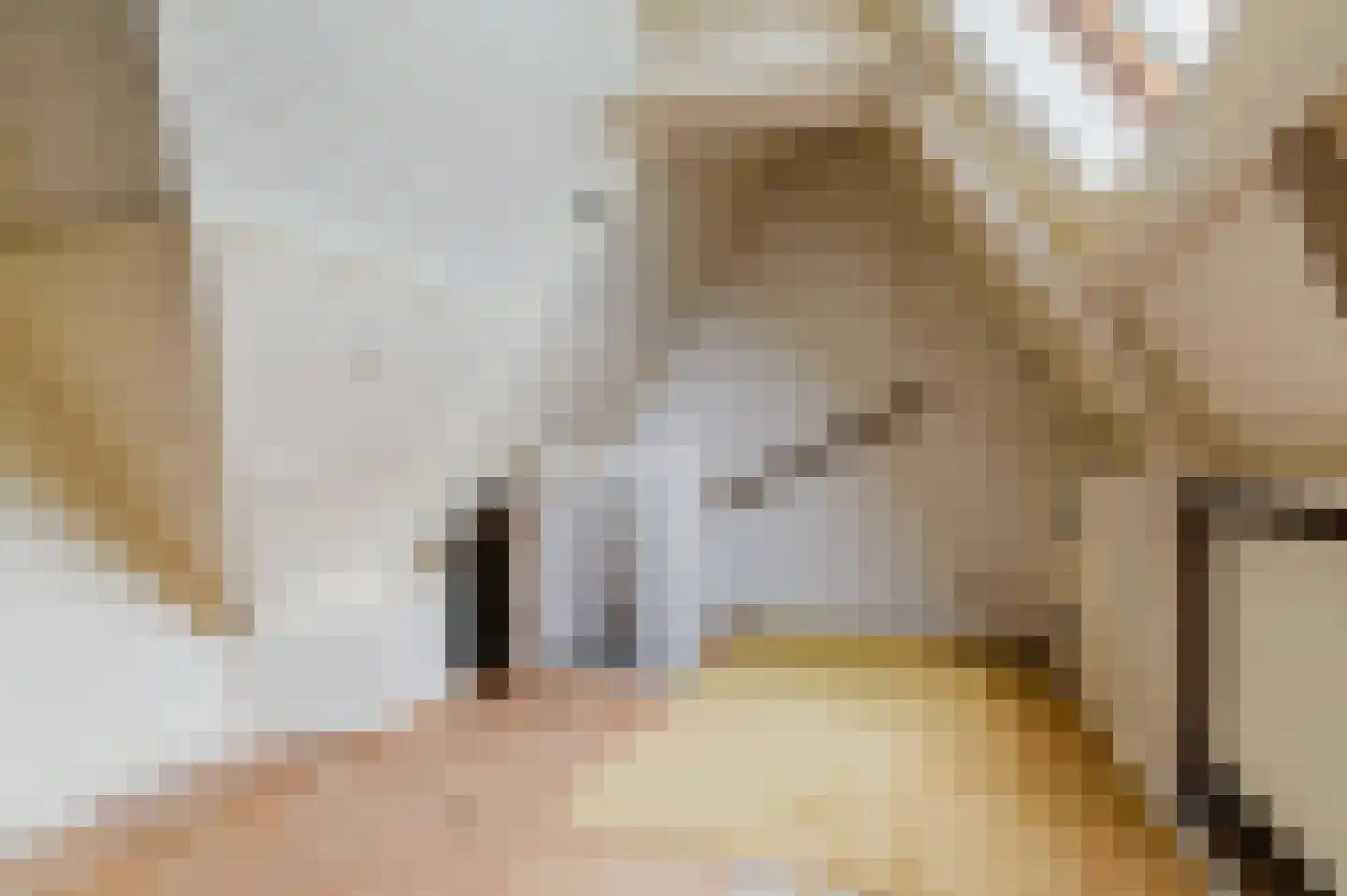 Burgemeester Falkenaweg 193 Heerenveen thumbnail 52