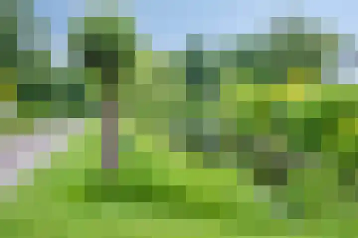 Burgemeester Falkenaweg 195 Heerenveen thumbnail 47