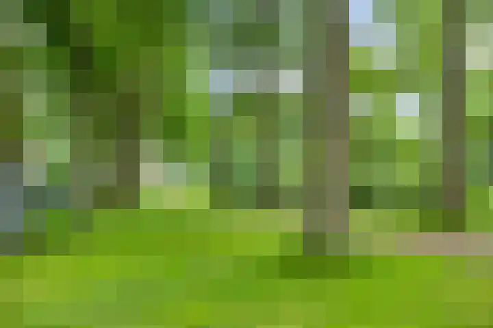 Burgemeester Falkenaweg 195 Heerenveen thumbnail 51