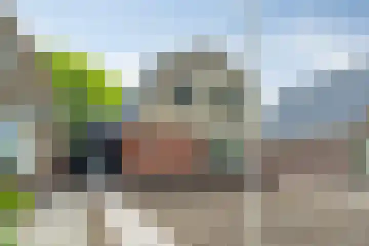 Burgemeester Falkenaweg 195 Heerenveen thumbnail 6