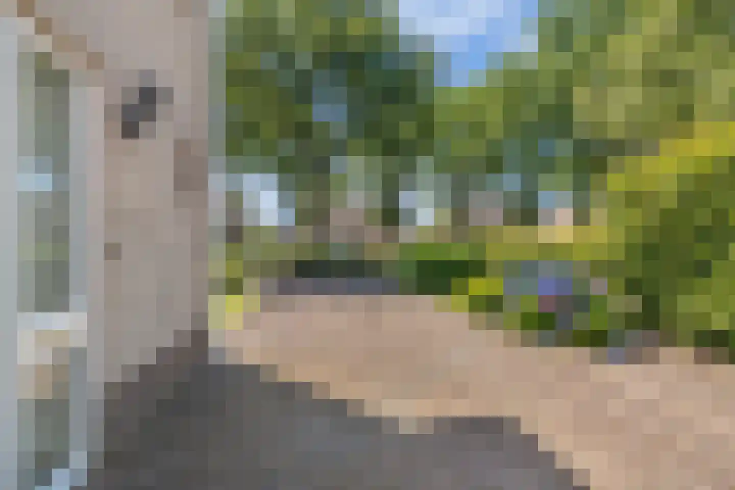 Burgemeester Falkenaweg 203 A Heerenveen thumbnail 5