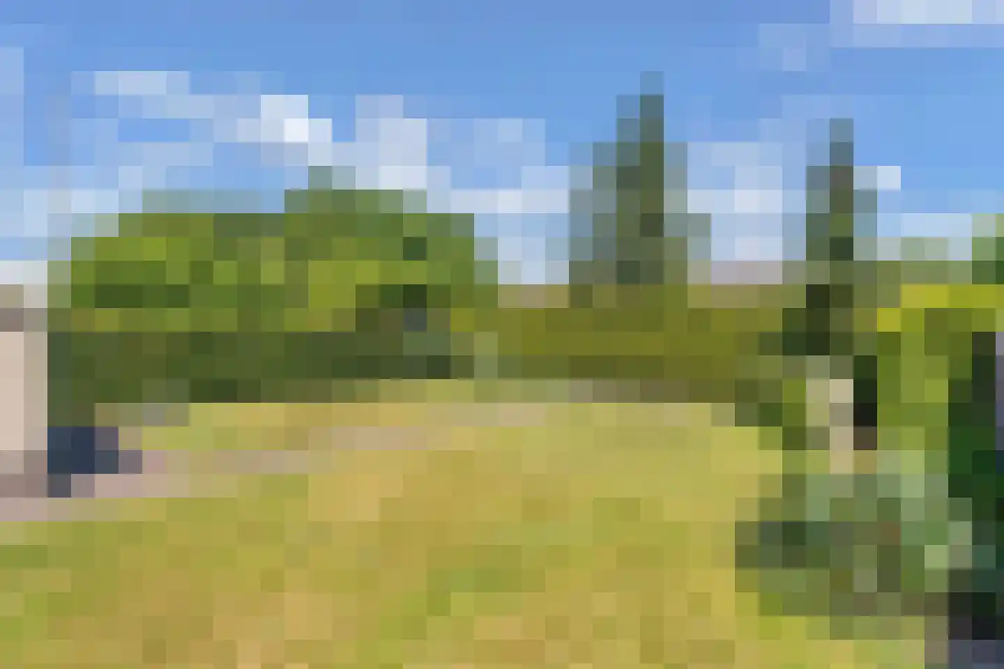 Burgemeester Falkenaweg 203 A Heerenveen thumbnail 50