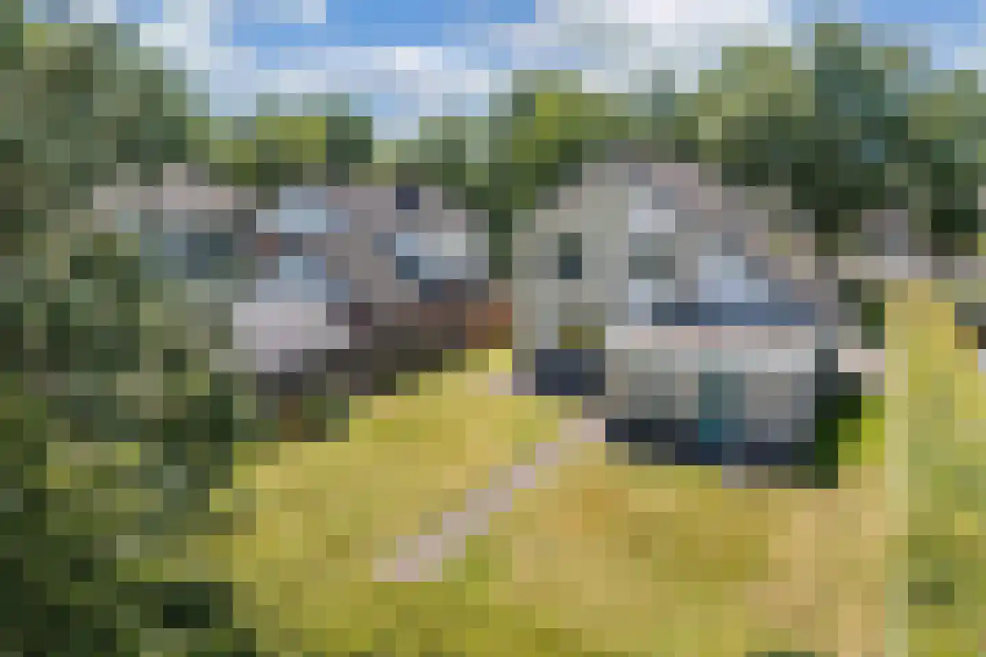 Burgemeester Falkenaweg 203 A Heerenveen thumbnail 51