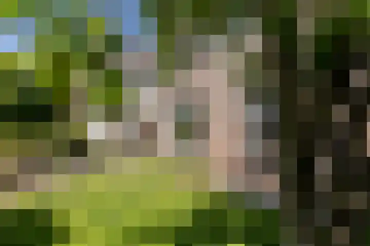 Burgemeester Falkenaweg 203 B Heerenveen thumbnail 28
