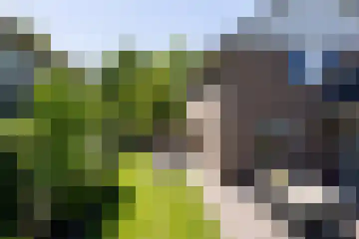 Burgemeester Falkenaweg 203 B Heerenveen thumbnail 30