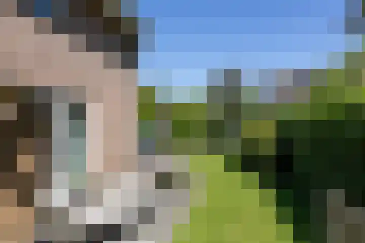Burgemeester Falkenaweg 203 B Heerenveen thumbnail 31