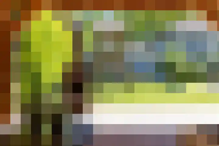 Burgemeester Falkenaweg 203 B Heerenveen thumbnail 34