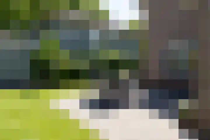 Burgemeester Falkenaweg 203 B Heerenveen thumbnail 36