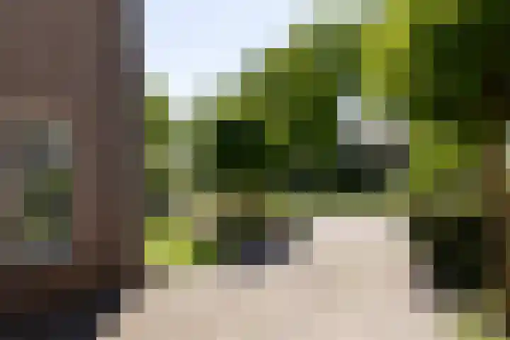 Burgemeester Falkenaweg 203 B Heerenveen thumbnail 37