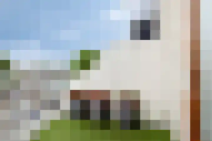 Burgemeester Falkenaweg 22 Heerenveen thumbnail 37