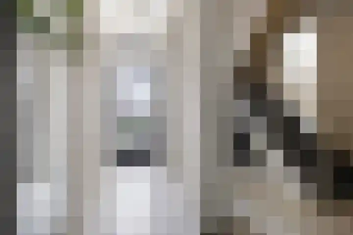 Burgemeester Falkenaweg 22 Heerenveen thumbnail 4