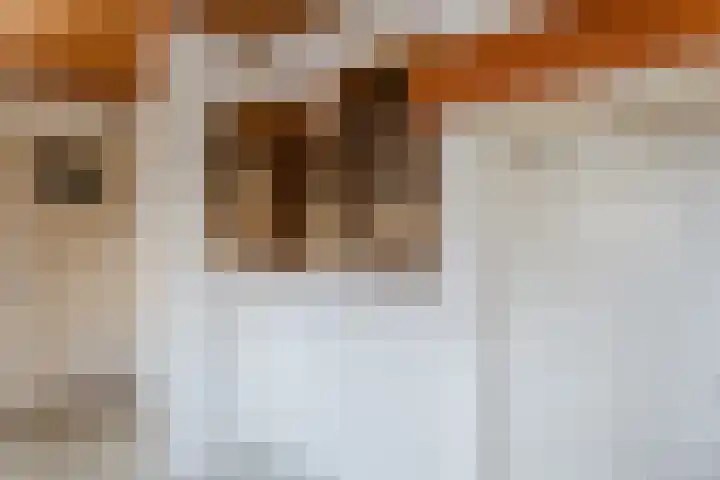 Burgemeester Falkenaweg 69 Heerenveen thumbnail 18