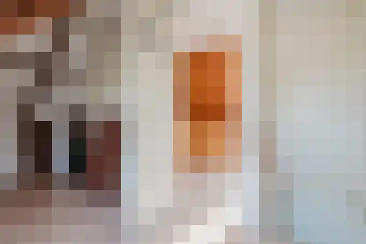 Burgemeester Falkenaweg 69 Heerenveen thumbnail 36