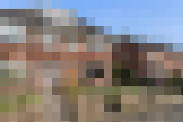 Burgemeester Falkenaweg 69 Heerenveen thumbnail 4