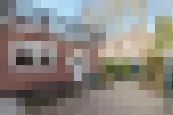 Burgemeester Falkenaweg 69 Heerenveen thumbnail 41