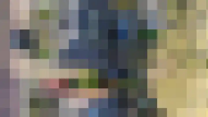 Burgemeester Falkenaweg 69 Heerenveen thumbnail 48